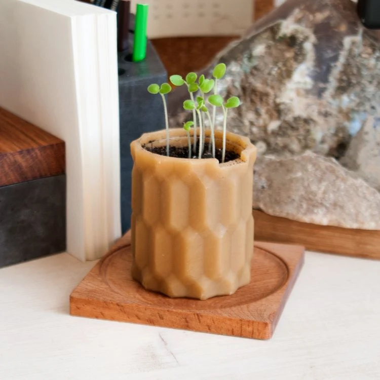 подарок подарок