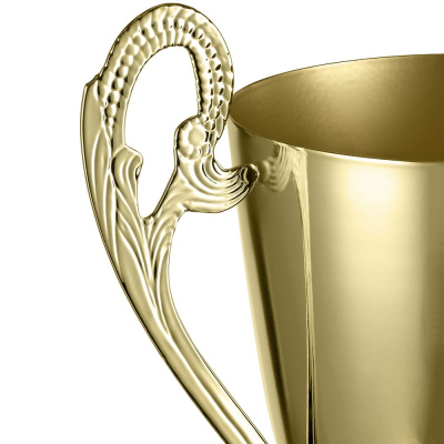 Кубок Guildford