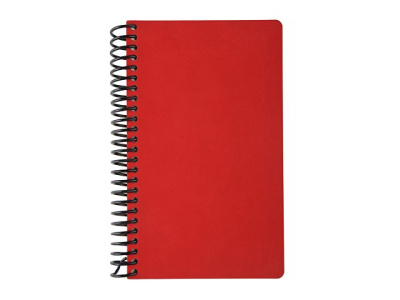 Ежедневник недатированный на спирали А5 "Agenda"