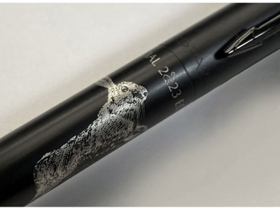 Шариковая ручка Parker Jotter XL LIMITED EDITION 2023 (символ года) в подарочной упаковке, цвет: Black
