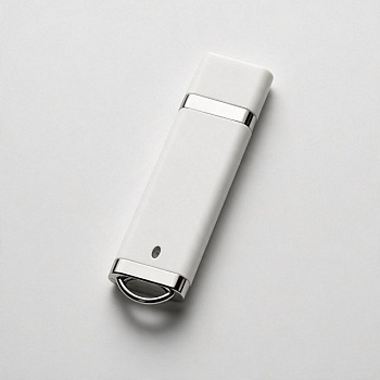 Флеш-карта USB 2.0 16 Gb «Орландо»