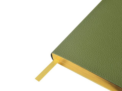 Ежедневник недатированный А5 "Verde" с нашивкой