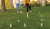 Деревянный игровой набор Kubb