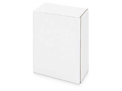 Часы «Государственное устройство Российской Федерации»