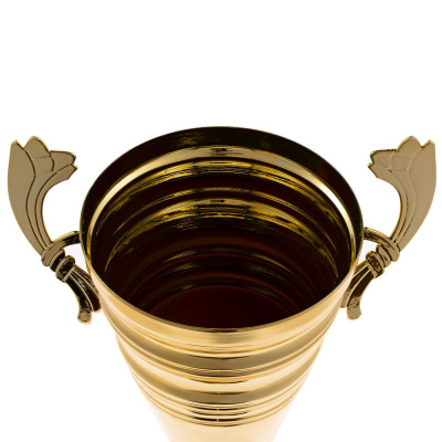 Кубок Recordsman