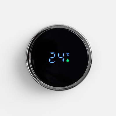 Смарт-бутылка с инфьюзером Thermory