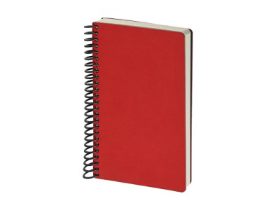 Ежедневник недатированный на спирали А5 "Agenda"