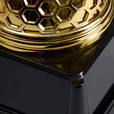 Кубок Meritus, малый