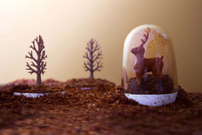 Ёмкости для специй в наборе Animal Parade