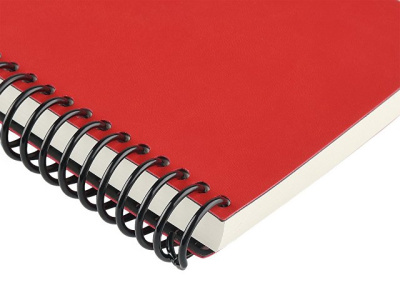 Ежедневник недатированный на спирали А5 "Agenda"