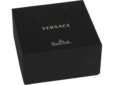 Чайник Versace «Medusa»