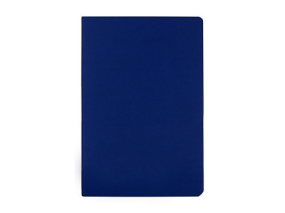 Бизнес тетрадь А5 "Megapolis flex" 60 л. soft touch клетка, синий