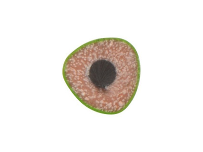 Трехгранный карандаш "Conti" из переработанных контейнеров