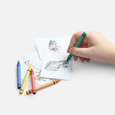 Набор для раскрашивания Create