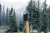 Рюкзак для ноутбука Swiss Peak Fern из rPET AWARE™, 15