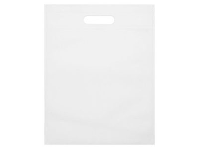 Сумка для выставок «Prime»