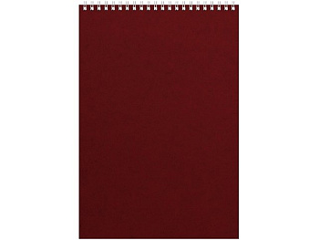 Бизнес - блокнот Альт А4 (198 х 285 мм) "Office" 60 л.