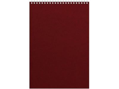 Бизнес - блокнот Альт А4 (198 х 285 мм) "Office" 60 л., бордовый