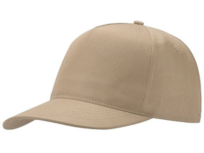 Бейсболка "Poly" 5-ти панельная 120 гр