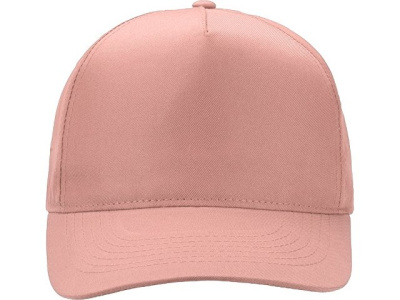 Бейсболка "Poly" 5-ти панельная 120гр