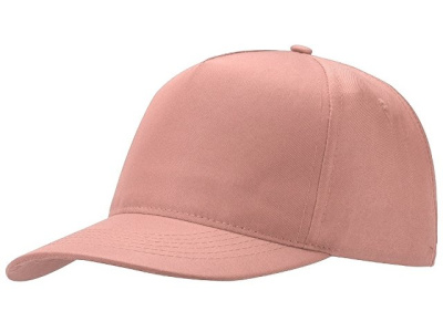 Бейсболка "Poly" 5-ти панельная 120гр