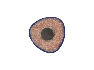 Трехгранный карандаш "Conti" из переработанных контейнеров