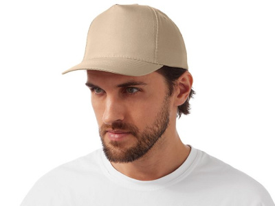 Бейсболка "Poly" 5-ти панельная 120 гр