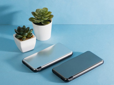 Внешний аккумулятор Forge, Evolt, металл, 10000mah